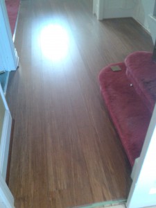 Bamboo flooring